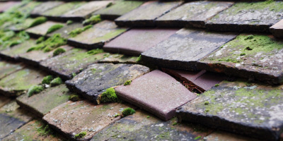 Copperhouse roof repair costs